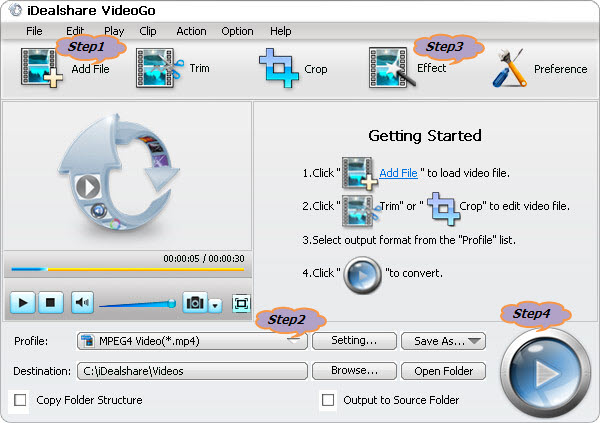windows and mac video format